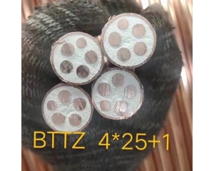 大连BTTZ刚性防火电缆
